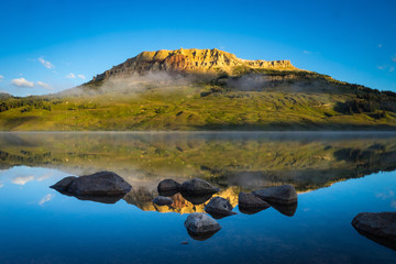晒小奶猫朋友圈文案搞笑集合四十条