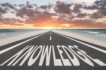 晒小奶猫朋友圈文案搞笑集合四十条