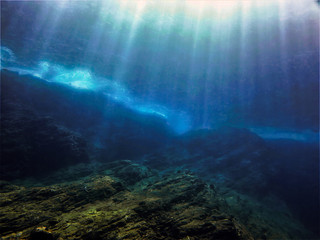 怎么制作苔藓微景观