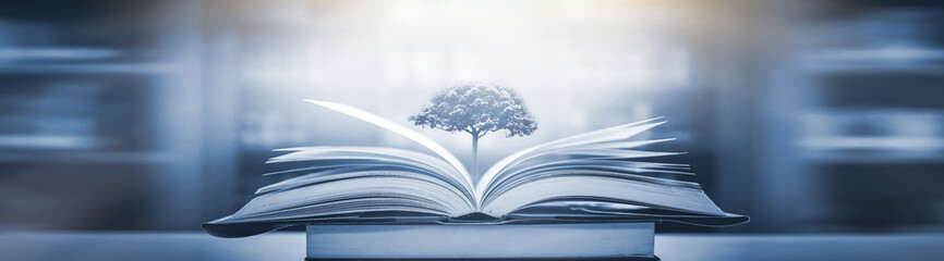 趣味数学小故事30 字