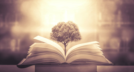 晒小奶猫朋友圈文案搞笑集合四十条