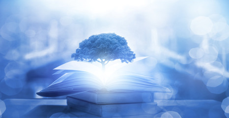 保时捷所有车型名字