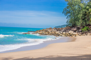 晒小奶猫朋友圈文案搞笑集合四十条