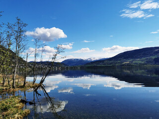 冬季驾车有哪些注意事项