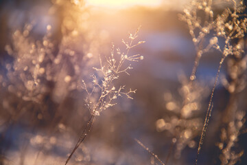 北京二手电动三轮市场在哪里