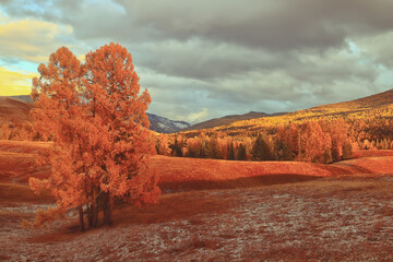 香港的历史简介