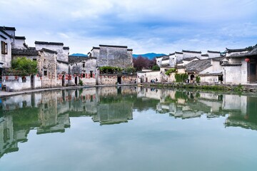 怎么制作苔藓微景观