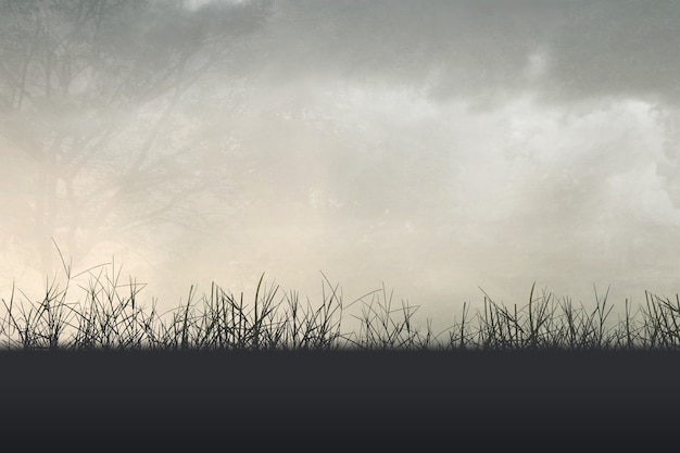 冬季驾车有哪些注意事项