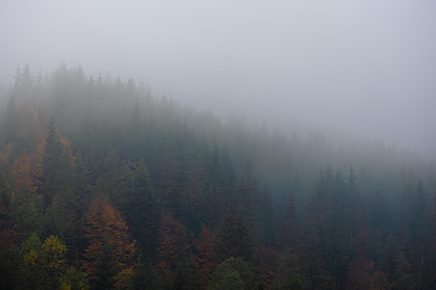 北京二手电动三轮市场在哪里