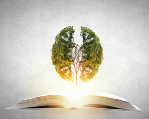 北京二手电动三轮市场在哪里