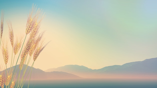 北京二手电动三轮市场在哪里