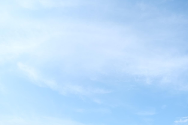 晒小奶猫朋友圈文案搞笑集合四十条