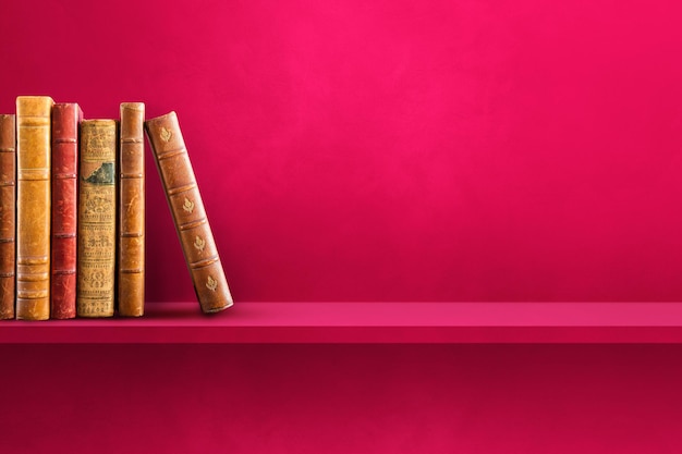 晒小奶猫朋友圈文案搞笑集合四十条