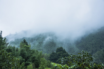 14年的十九座五菱校车拆车还能卖多少钱